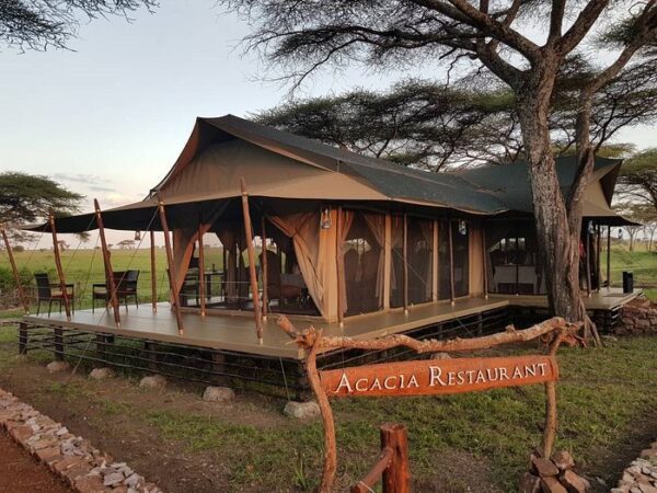 OLE SERAI LUXURY CAMP – SERONERA BY WELLWORTH : Centre Serengeti - Image 4