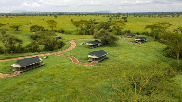 OLE SERAI LUXURY CAMP – TURNER SPRINGS BY WELLWORTH : Centre Serengeti - Image 3