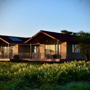 SERENGETI SAMETU: Centre Serengeti