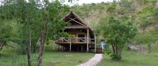 ROIKA TARANGIRE TENTED CAMP: Tarangire park - Image 5