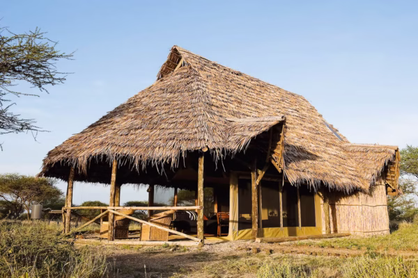 SHU’MATA CAMP:MOSHI
