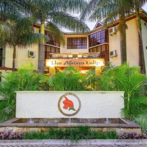 THE AFRICAN TULIP: ARUSHA