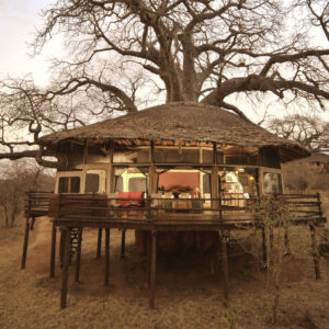 TARANGIRE KURO TREE TOPS: Tarangire park