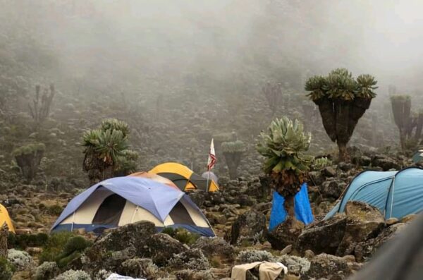 7-Days Kilimanjaro Mountain-Machame Route - Image 3