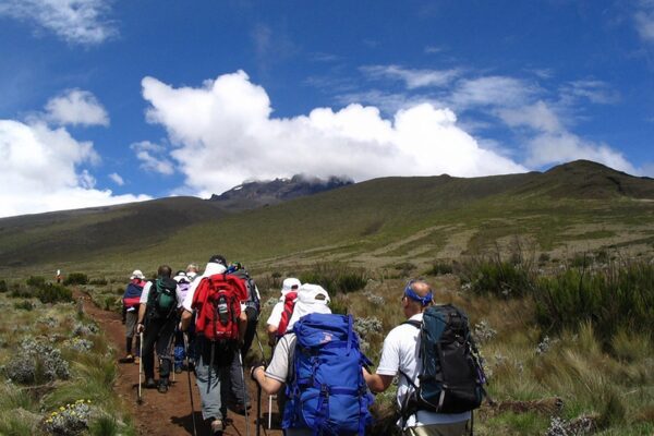 7-Days  Lemosho Route Kilimanjaro Trek