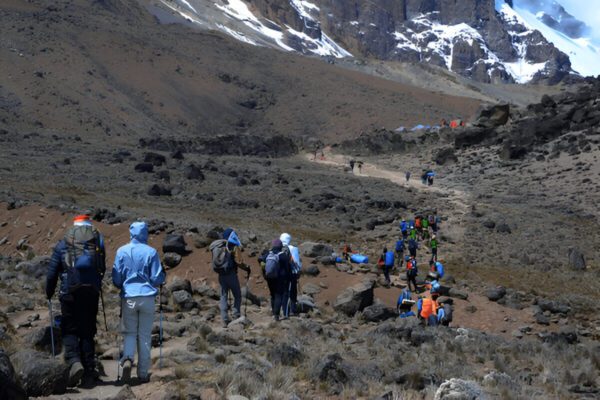 7-Days Kilimanjaro Mountain-Machame Route - Image 4