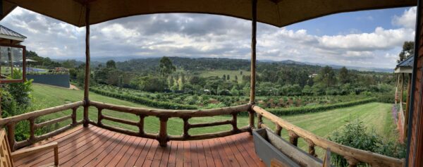 BAGHAYO GARDEN SUITES - Image 6