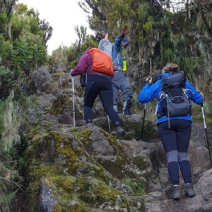 5 Days Kilimanjaro Mountain -Marangu Route