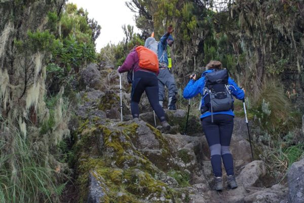 5 Days Kilimanjaro Mountain -Marangu Route