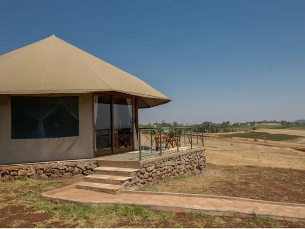 LAKE MANYARA NATIONAL PARK - Image 3