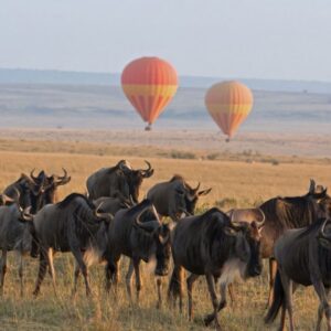 Serengeti National Park