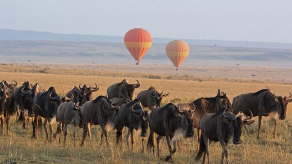 Serengeti National Park
